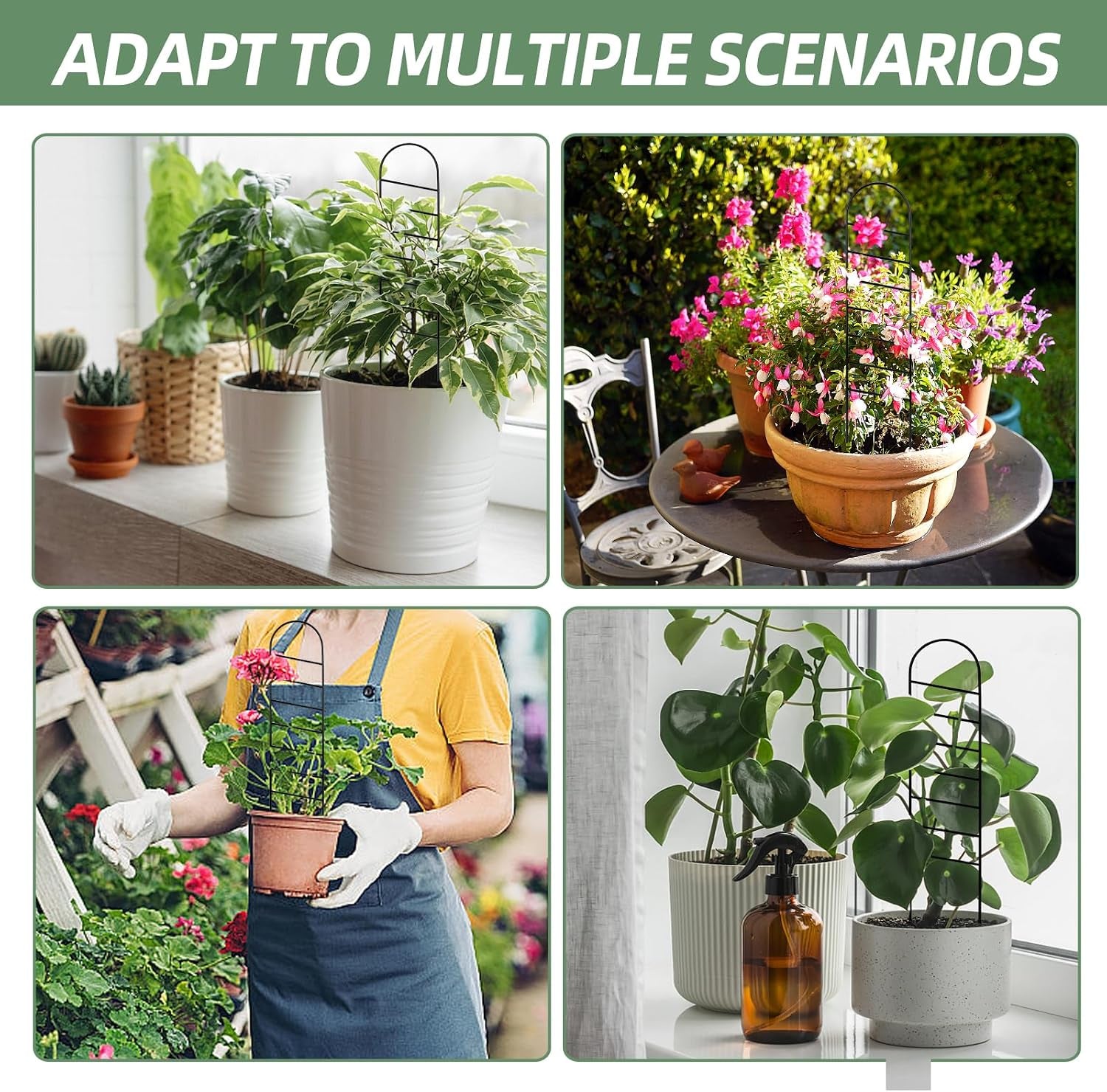 17.5 Inch Indoor Plant Trellis for Climbing Plants, Small Metal Garden Trellis for Potted Plants,Plants Accessories Hoya,Flower,Plant Support (Ladder-Metal)