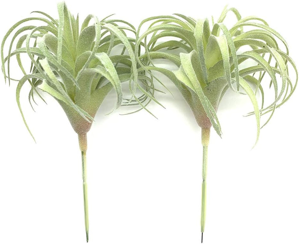 2 PCS Artificial Succulents Plants Real Touch Lifelike Succulants Plants Faux Greenery Plants Garden DIY Home Office Decoration Ornament (Flocking Air Plant)